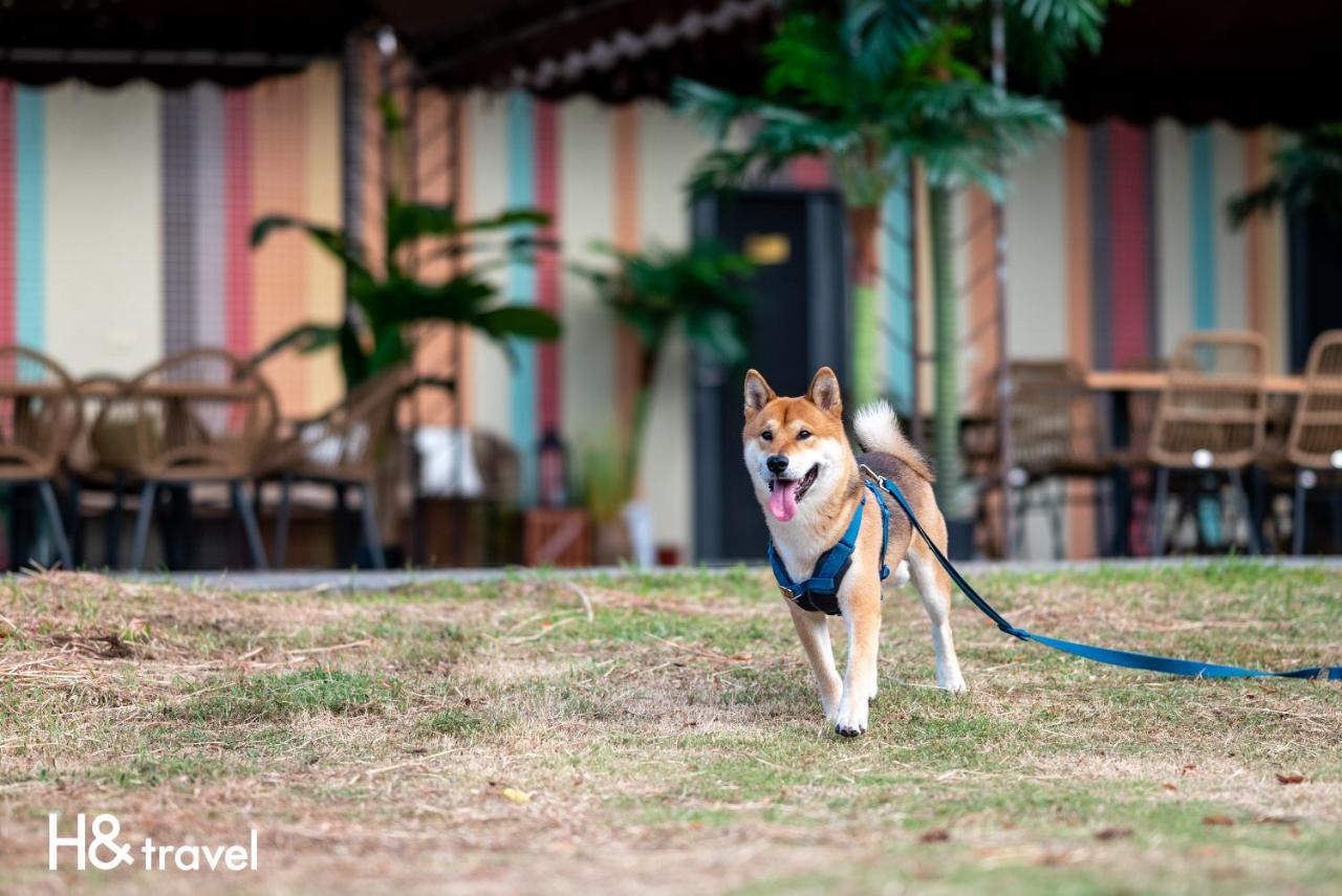 Taitung Rainbow Pet Friendly Maison Resort Екстериор снимка