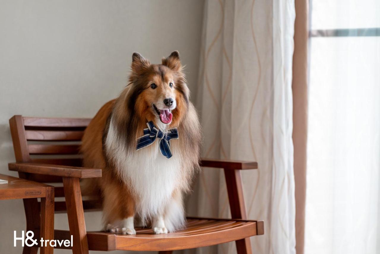 Taitung Rainbow Pet Friendly Maison Resort Екстериор снимка