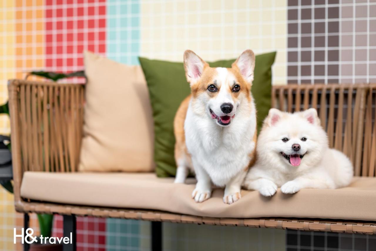 Taitung Rainbow Pet Friendly Maison Resort Екстериор снимка