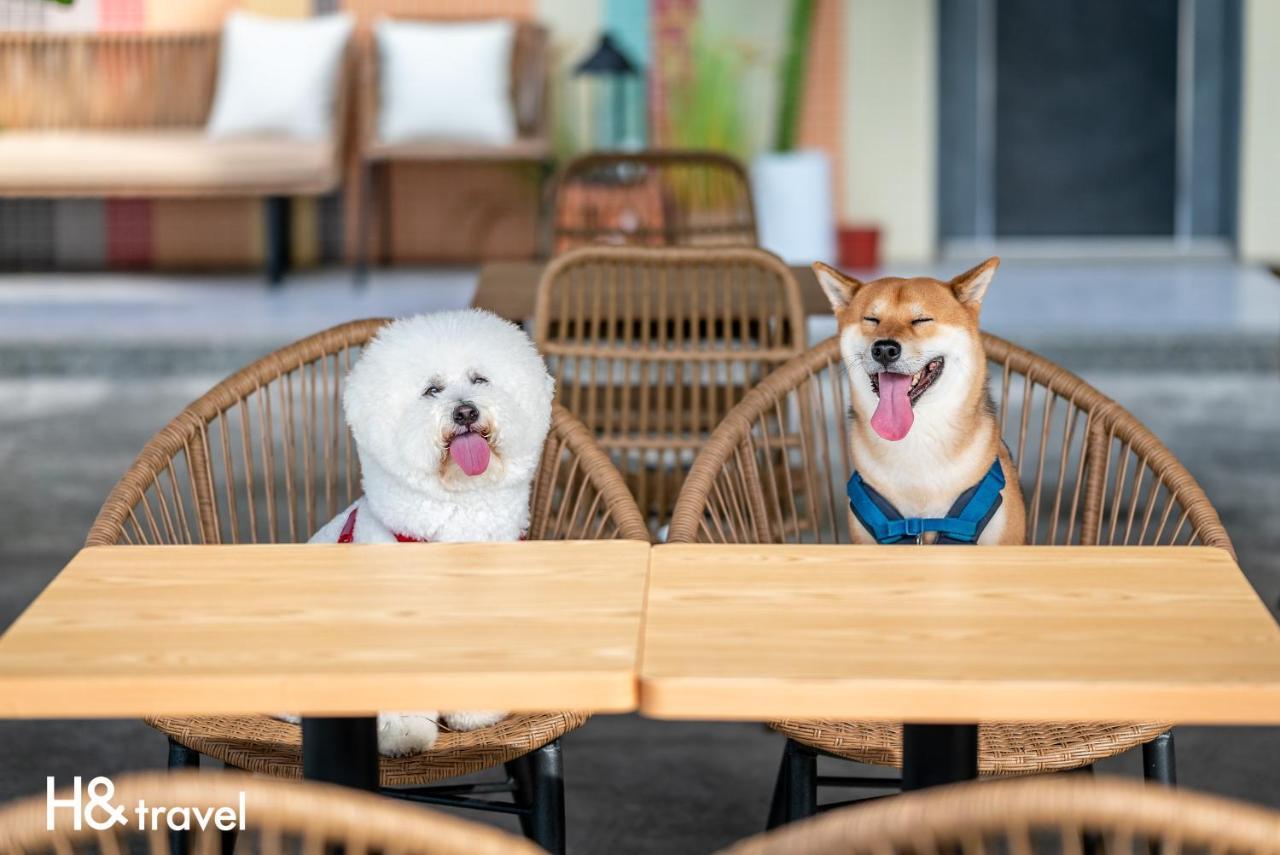 Taitung Rainbow Pet Friendly Maison Resort Екстериор снимка