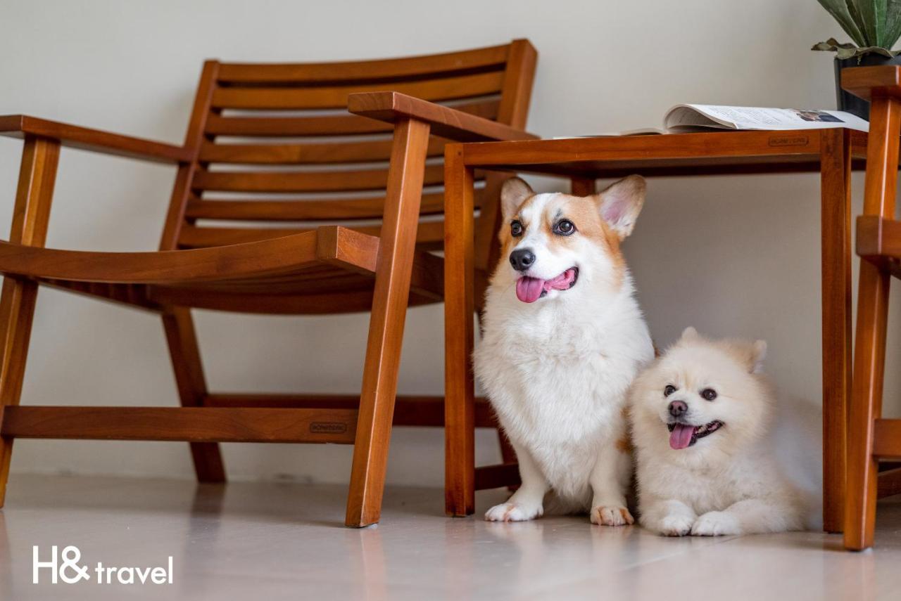 Taitung Rainbow Pet Friendly Maison Resort Екстериор снимка