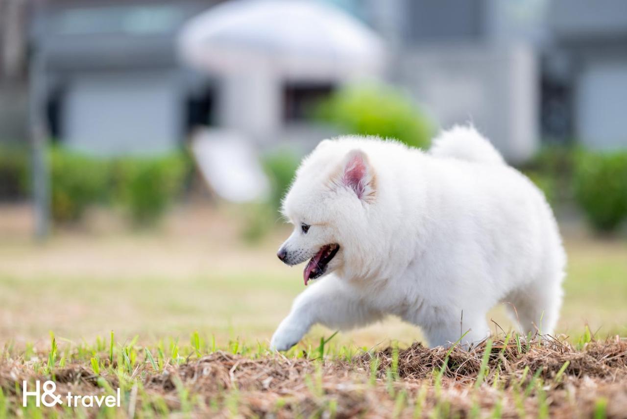 Taitung Rainbow Pet Friendly Maison Resort Екстериор снимка
