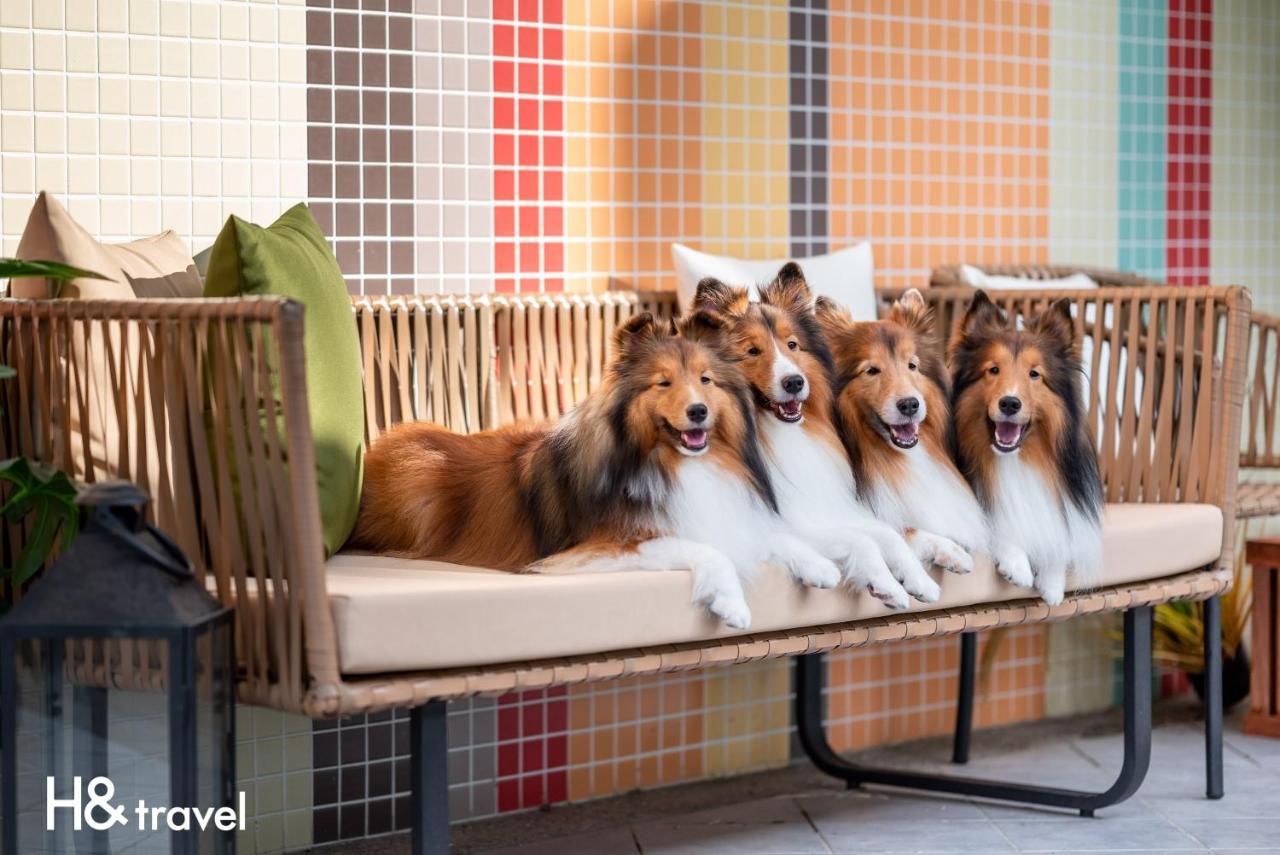 Taitung Rainbow Pet Friendly Maison Resort Екстериор снимка