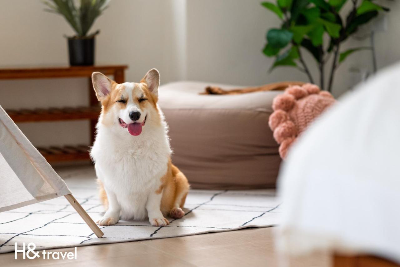 Taitung Rainbow Pet Friendly Maison Resort Екстериор снимка