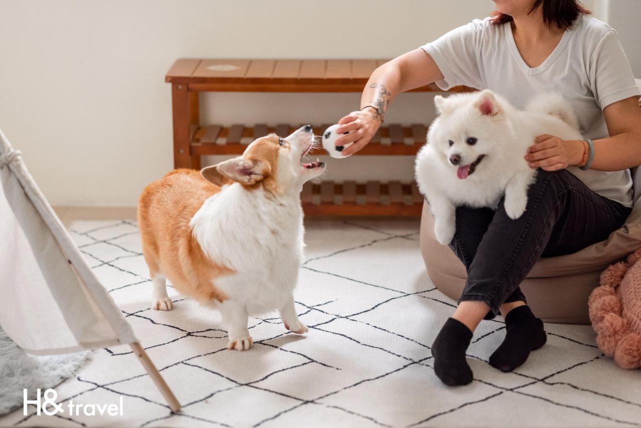 Taitung Rainbow Pet Friendly Maison Resort Екстериор снимка