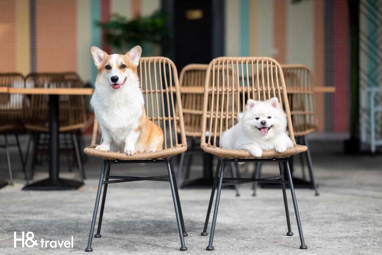 Taitung Rainbow Pet Friendly Maison Resort Екстериор снимка
