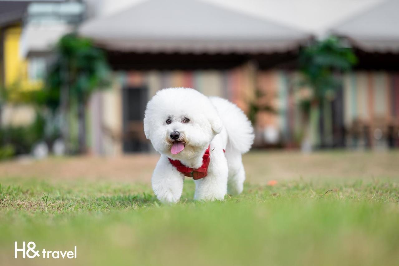 Taitung Rainbow Pet Friendly Maison Resort Екстериор снимка