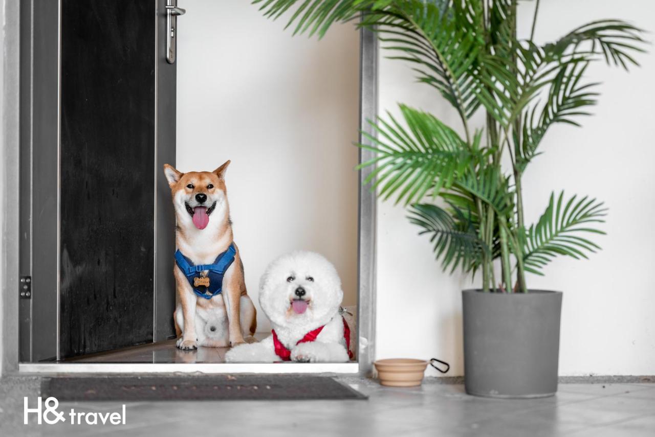 Taitung Rainbow Pet Friendly Maison Resort Екстериор снимка