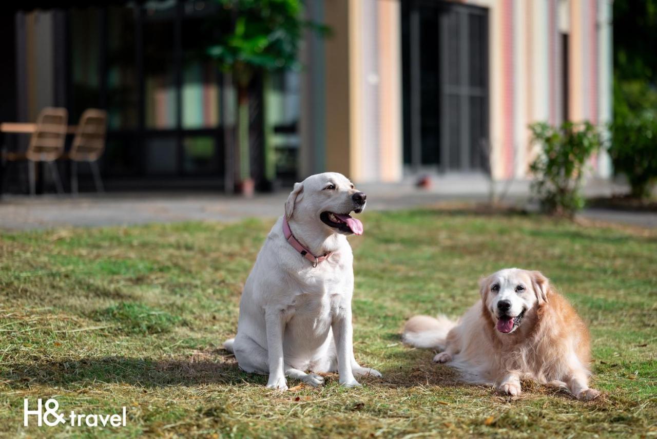 Taitung Rainbow Pet Friendly Maison Resort Екстериор снимка